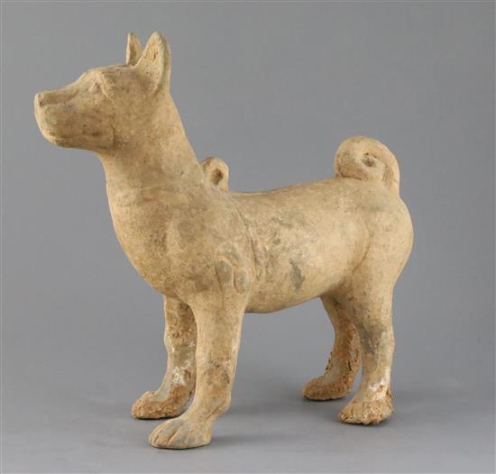 A Chinese Sichuan pottery model of a standing dog standing, Han dynasty (206BC - 220AD), L.33cm H.32.5cm